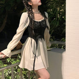 Drespot Vintage Lolita Dress Party Women Casual Long Sleeve Elegant Y2k Mini Dress Kawaii Clothing One Piece Dress Korean  Spring